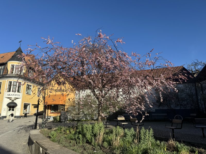 Benkes 60-års Tour 182