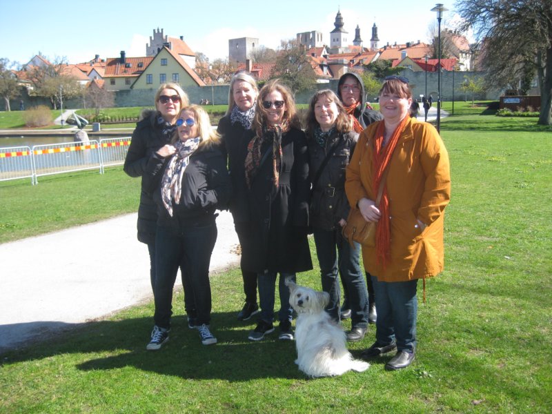 Visby 11